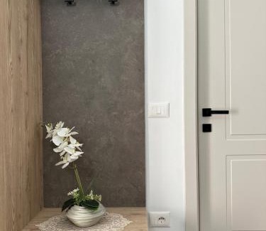 Udenisht Apartment | Stormi's Apartament