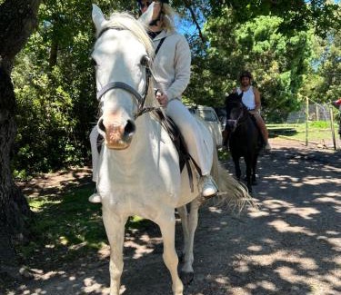 Storms River Apartment | Stormsriver Backpackers Dijembe