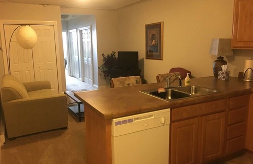 Ludington Apartment | STRAM *203