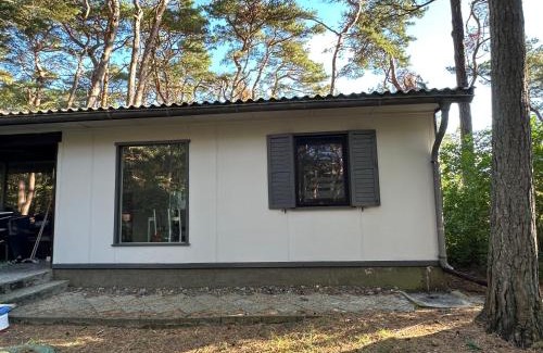 Altenkirchen House | Strandperle