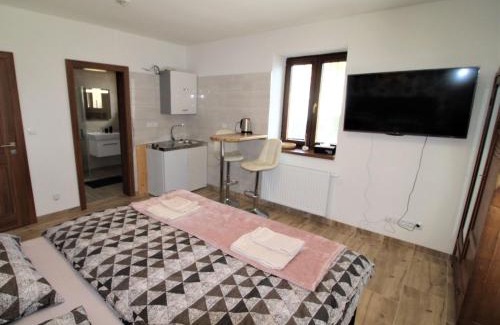 Zupanovice Apartment | Studio Županovice-1 by Interhome