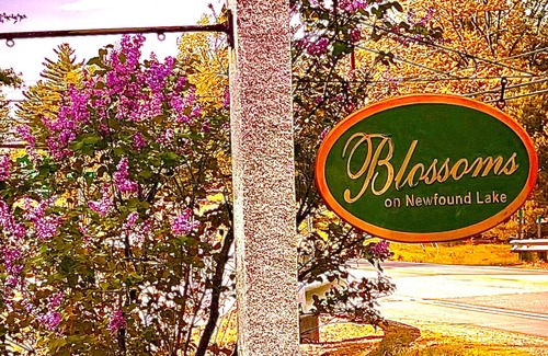 Bridgewater Cottage | Studio #1 Cottage by Newfound Lake with shared private sandy beach