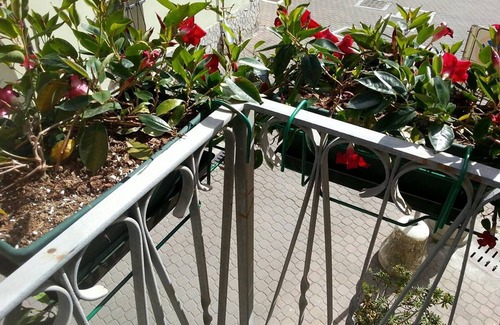 Deiva Marina Apartment | Studio 100 meters from the beach CITR 011012 CAV 0069
