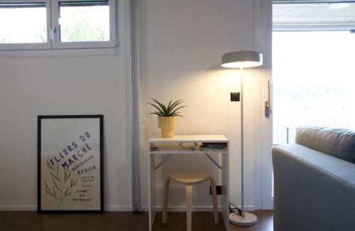 Aarau Apartment | Studio 111 loft with views over Aarau
