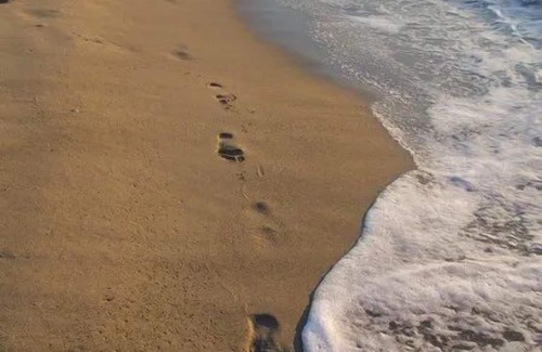 Le Port Apartment | Studio 2 Personnes Proche Plage et Commerces - 2phoe504