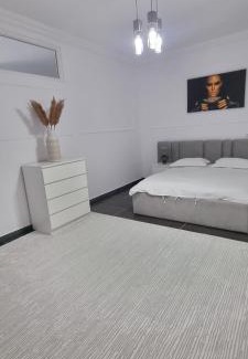 Tirgu Neamt Apartment | Studio 2