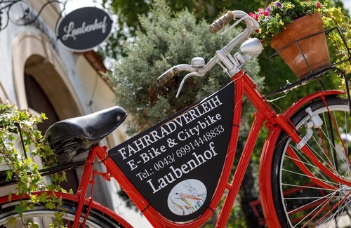 Morbisch am See Cottage | Studio 3-bett Zimmer, Dusche, WC - Pension Laubenhof