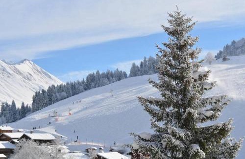 Le Grand-Bornand Apartment | Studio - 4 pers, Le Grand-Bornand, commerces à pied, parking couvert - FR-1-241-216