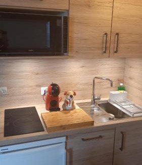 Les Deux Alpes Apartment | STUDIO 4 personnes - 19m2 plus terrasse- Le pluton