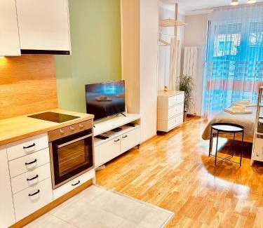Pirot Apartment | Studio 4