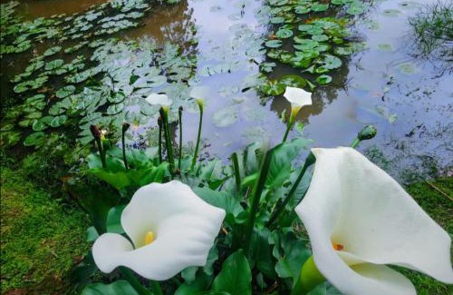 Botha's Hill Apartment | Studio 4 The Studios at Churchill