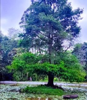 Botha's Hill Apartment | Studio 4 The Studios at Churchill