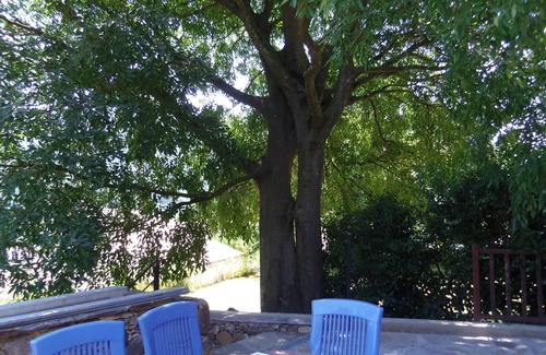 Colombieres-sur-Orb Apartment | Studio 45m2 + mezzanine and terrace 27m2 near Lamalou-les-Bains