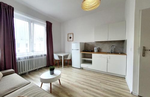 Srodmiescie Apartment | Studio 78