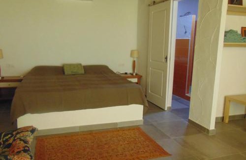 Arcos de la Frontera Apartment | Studio andalou , campagne , chevaux , piscine commune