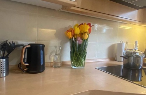 Munzingen Apartment | Studio Apartment in Souterrain in Freiburg - Gasthaus Privatzimmer in Freiburg im Breisgau