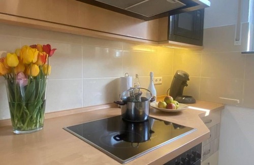 Munzingen Apartment | Studio Apartment in Souterrain in Freiburg - Gasthaus Privatzimmer in Freiburg im Breisgau