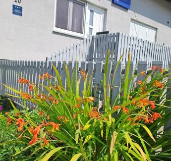 Velika Liduna Apartment | Studio apartman Draga