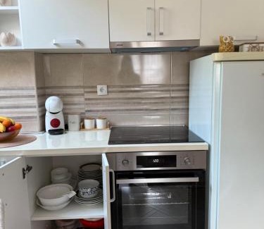 Pluzine Apartment | Studio Apartman Gracia