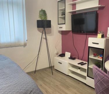 Bjelovar Apartment | Studio Apartman Jovičić