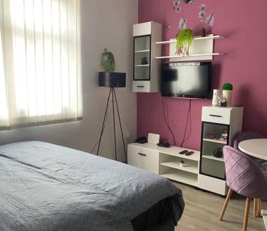 Bjelovar Apartment | Studio Apartman Jovičić