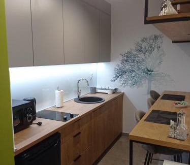 Pale Apartment | Studio Apartman Pale Free parking