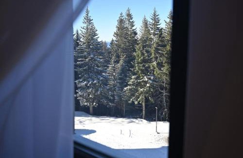 Jahorina Apartment | Studio apartment 306