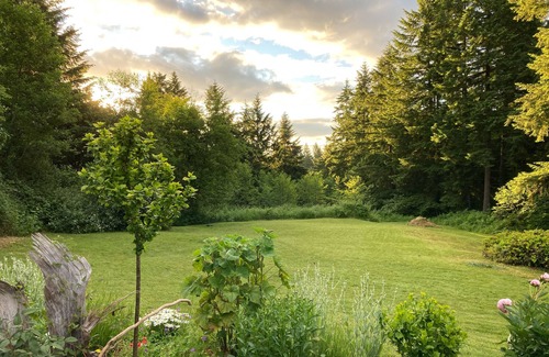 Tenino Apartment | Studio Apartment at Top of the Hill