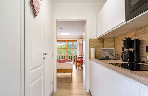 Obernzell Apartment | Studio Apartment 'Auszeit Am Fluss - Donau' with Balcony