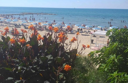 Borgo Santa Maria Apartment | Studio apartment, beachfront, floor 2, private descent to the beach (Narcissus)