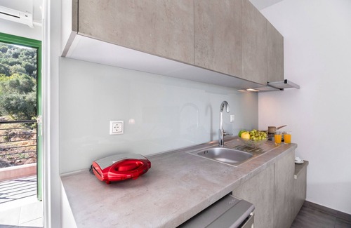 Anthousa Apartment | Studio Apartment 'Deluxe 2 Adults - B' with Shared Terrace, Wi-Fi and Air Conditioning