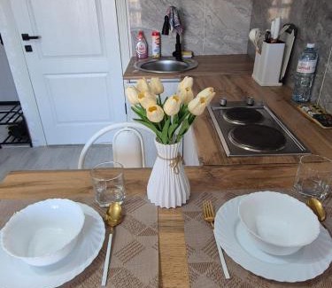 Kaztsik Apartment | Studio apartment for rent