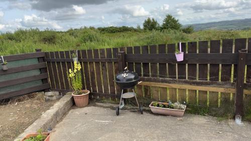 Letterkenny Apartment | Studio Apartment