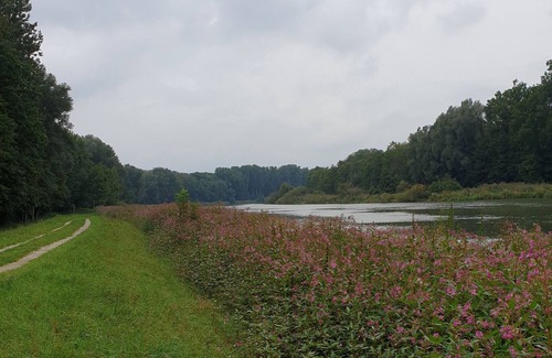 Lauingen Apartment | Studio apartment in a quiet location about 30m2 and has space for 2 people.