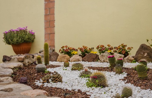 Palmas Arborea Apartment | Studio Apartment 'Camera 2' with Shared Terrace, Wi-Fi and Air Conditioning