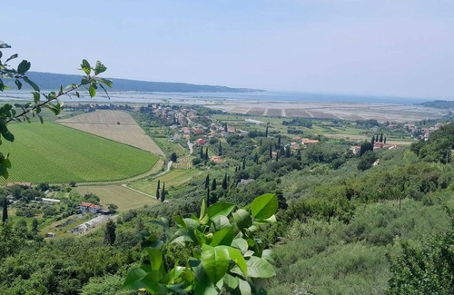 Secovlje Apartment | Studio Apartment Olive Oil Homestead Milok