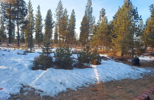Sunriver Apartment | Studio apartment surrounded by national forest