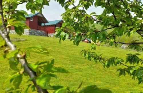 Mojkovac Apartment | Studio Apartment with Terrace 1