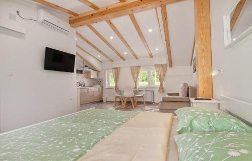 Catrnja Apartment | Studio apartments Kaya