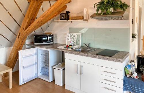 Wangenried Apartment | Studio Arn's Dachstudio by Interhome