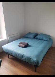Vandoeuvre-les-Nancy House | Studio avec WC et SDB privés dans Grande maison à côté du campus Artem - Thermal et Parc des Expos