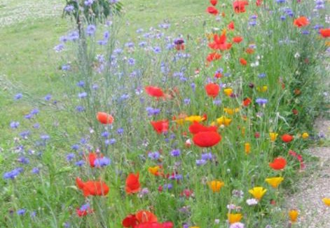 Tonnay-Charente Apartment | Studio avec jardin clos et wifi a Tonnay Charente