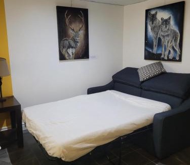 St. Felicien Apartment | Studio Bellevue