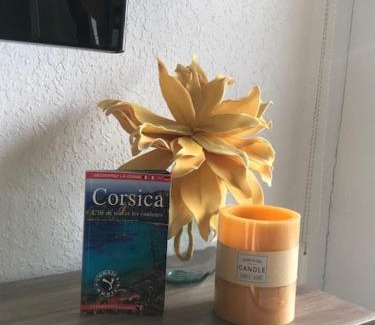 Santa-Lucia-di-Moriani Apartment | Studio Bord De Mer