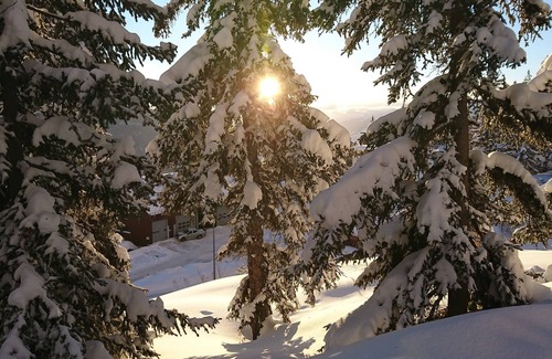 La Rosiere Apartment | STUDIO CABIN 33m2 RESIDENCE LES CHAVONNES