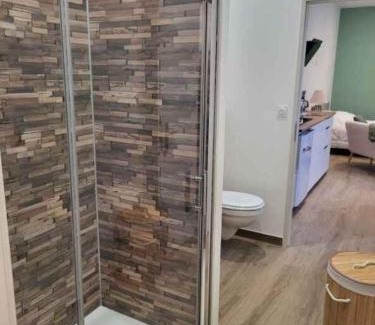 Arcis-sur-Aube Apartment | Studio centre d Arcis