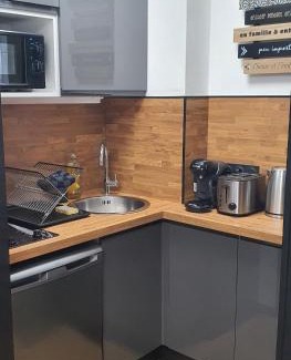 Clermont Ferrand City Centre Apartment | Studio climatisé Place de Jaude Garage balcon tv wifi