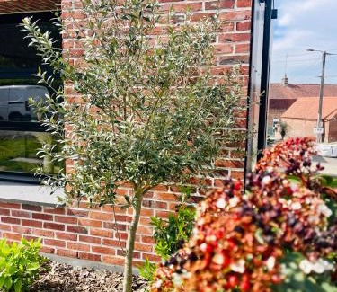 Ecques House | Studio Cosy Neuf