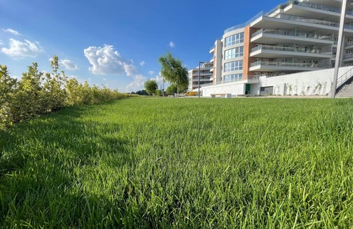Pantelimon Apartment | Studio cu vedere la Lebada Lake