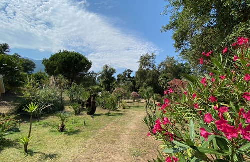 Santa-Maria-Poggio Apartment | Studio Dans Grand Parc, Proche Mer/rivière Idéal Couple et Famille